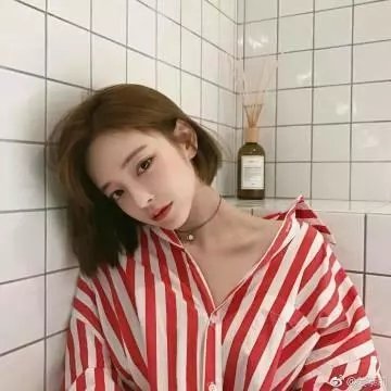 认识狗狗